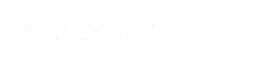 オプション
